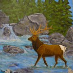 Barb's Elk