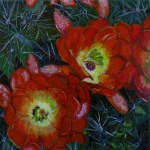 Hedgehog Cactus Flower