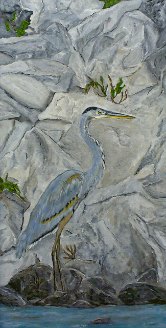 My Blue Heron