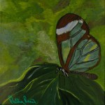 Translucent Butterfly