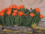 spring cactus