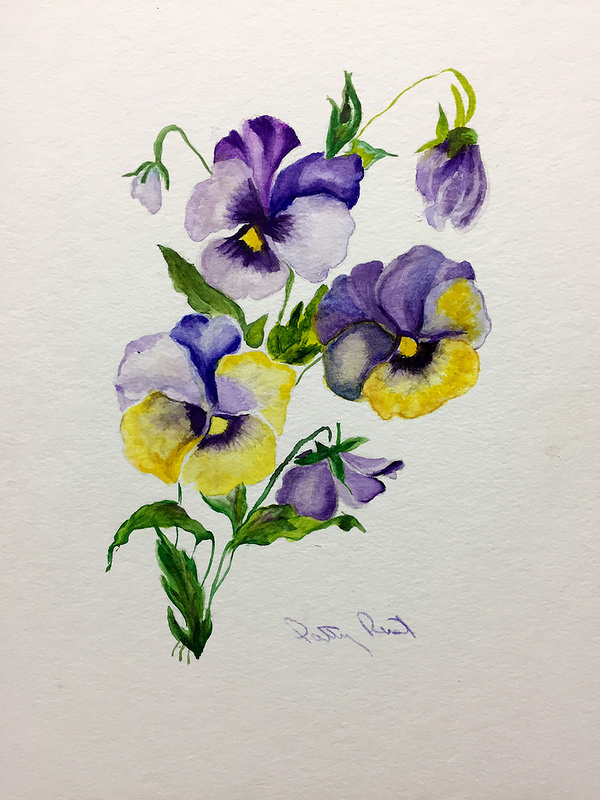 Pansies- 11"x14", Watercolor 2016