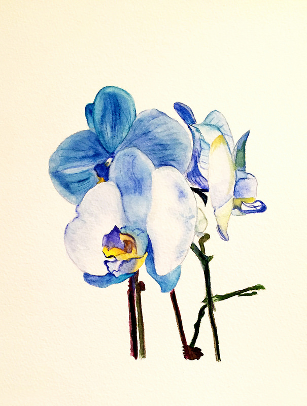 Blue Orchid- 8"x10", Watercolor 2017
