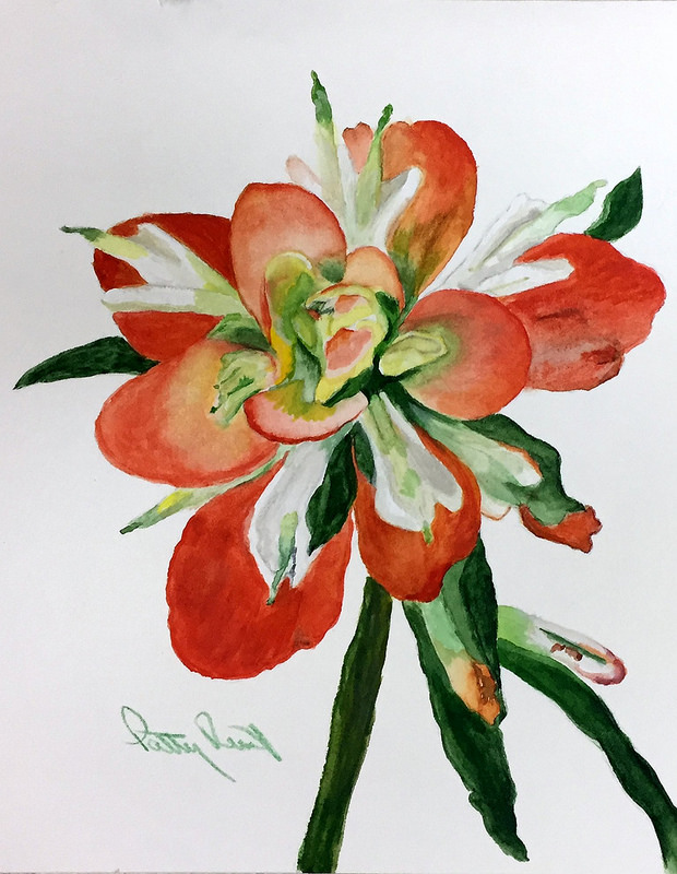 Indian Paint Brush- 8"x10", Watercolor 2017