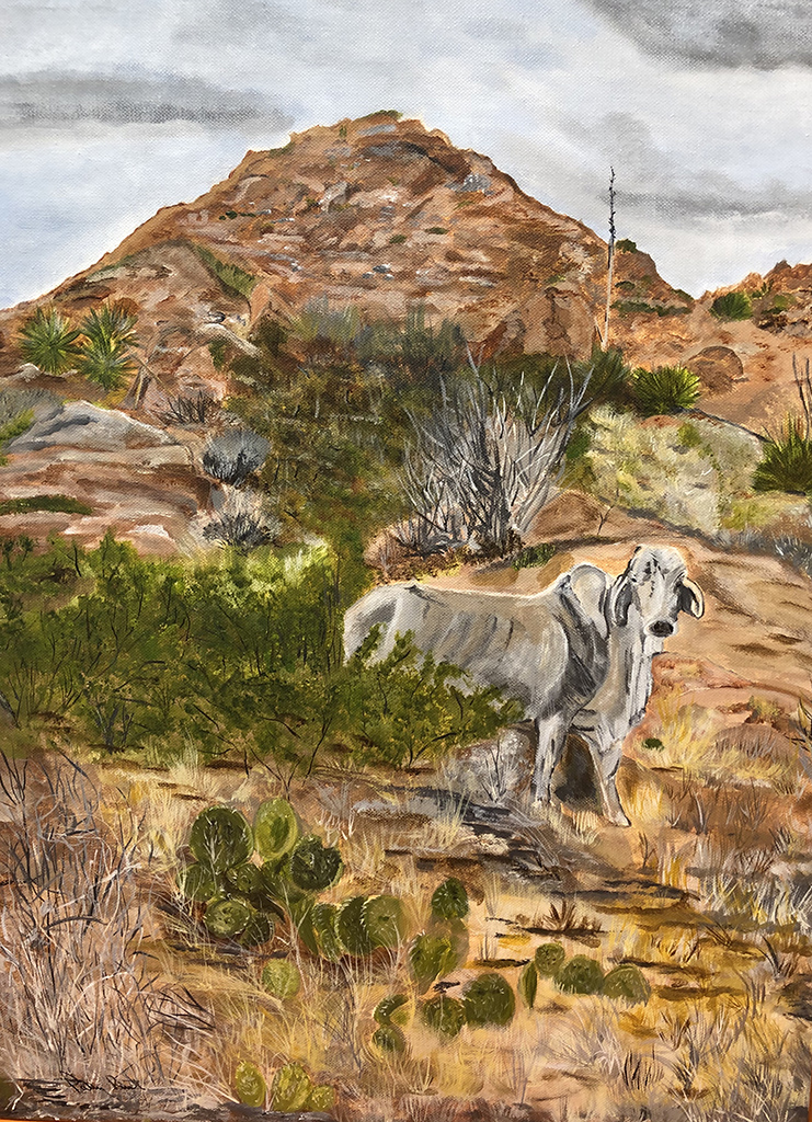 That’s No Bull 16"x20", Acrylic 2019