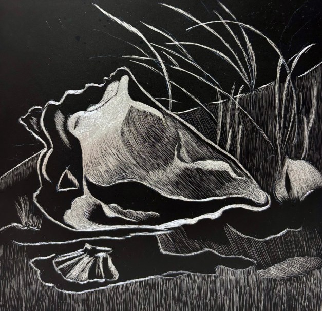 Sea Shell
